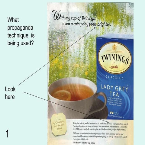 Propaganda In Advertisements