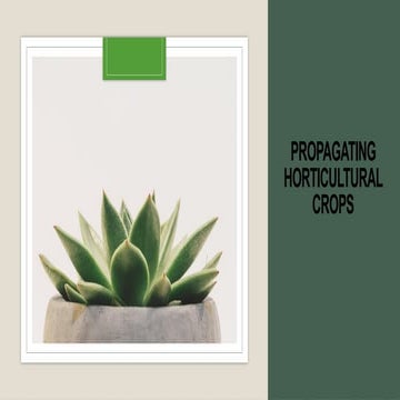 PROPAGATING-HORTICULTURAL-CROPS-ppt-2-2.pptx