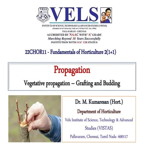 Propagation - Asexual - Grafting and budding.pdf