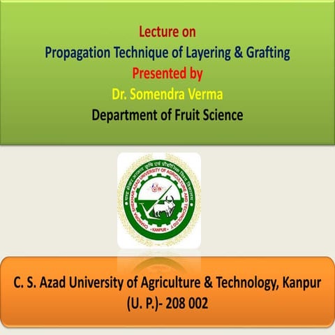 Propagation-technique-of-Layring-Grafting-1.pdf