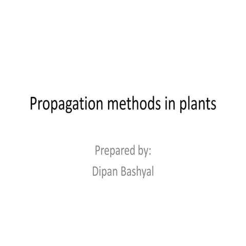 PROPAGATION_METHODS.pptx