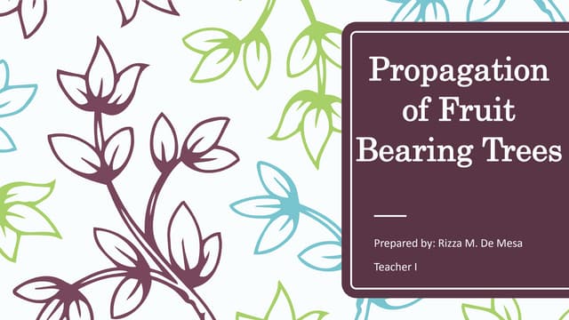 Propagation of Fruit Bearing Trees