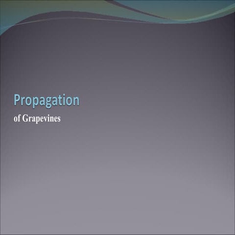 Propagation Of Grapevines