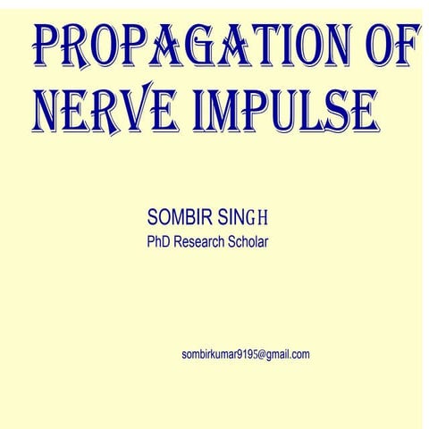 Propagation of nerve impulses