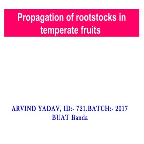 Propagation of rootstocks in temperate fruits final. ROOTSTOCK . WHAT IS ROOT...