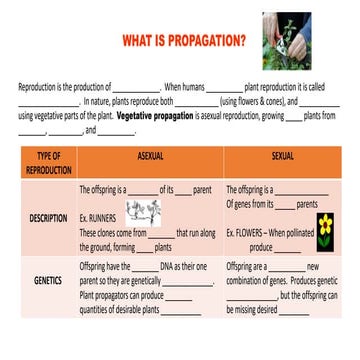 Agri-crop Production (Propagation techniques) | PPTX