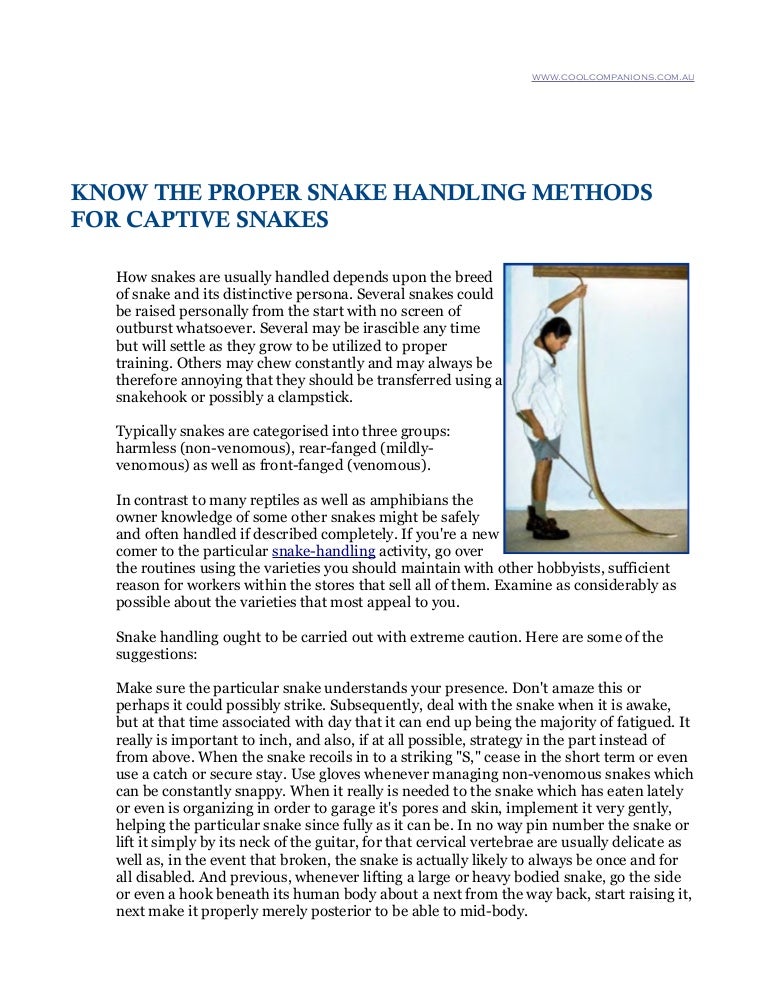Proper Snake Handling Methods