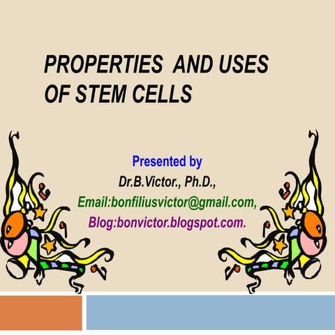 Properties and uses of stem cells