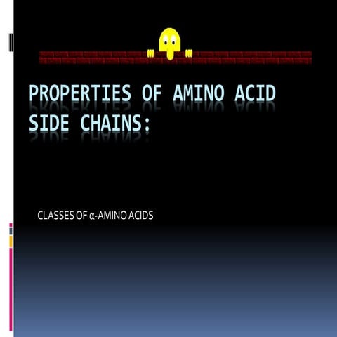 Properties of amino acid side chains   report ni lady