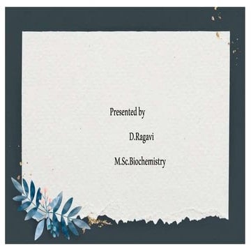 Properties of DNA.pptx