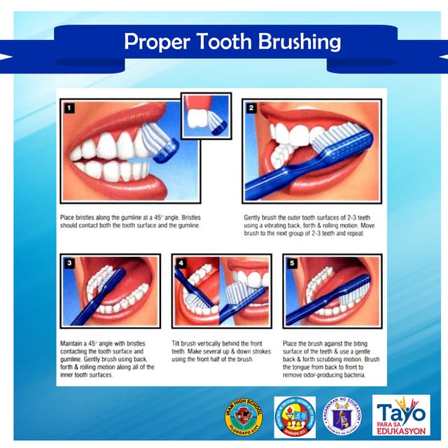 Proper tooth brushing [2x2] PDF