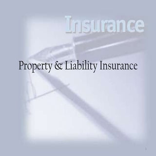 Property & Liability Insurance