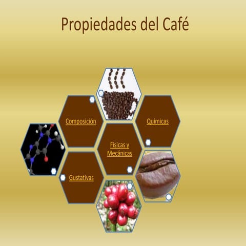 Propiedades cafe