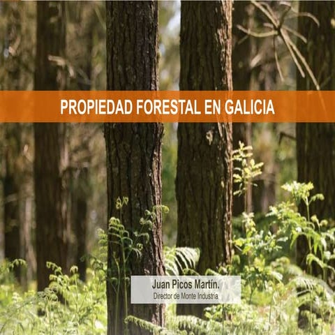 Propiedad Forestal En Galicia