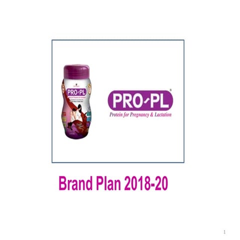 Pro pl brand plan | PDF