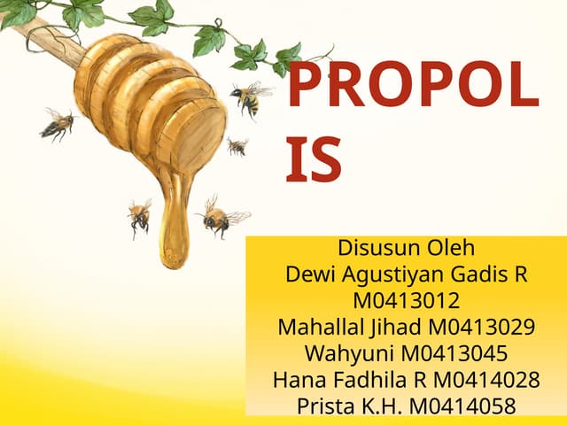 Introduction of  BBA (PROPOLIS-ppt).pptx