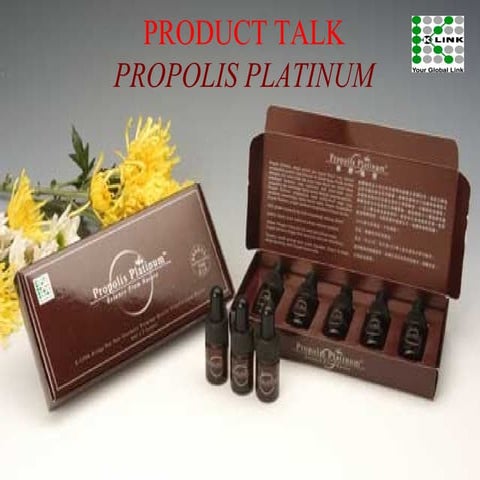 Introduction of BBA (PROPOLIS-ppt).pptx