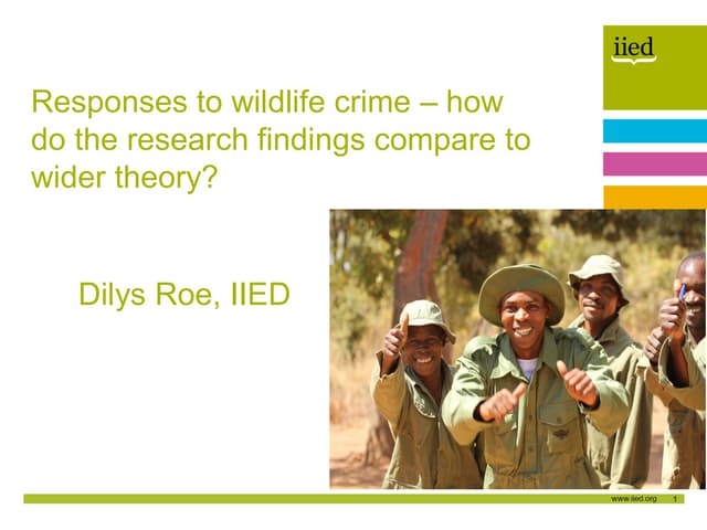 Responses to wildlife crime – how do the research findings compare to wider theory?