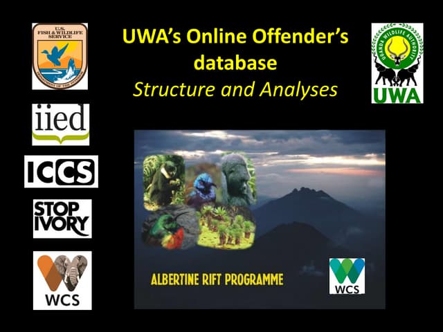 Pro-poor wildlife crime research workshop: wildlife crime database
