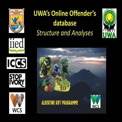 Pro-poor wildlife crime research workshop: wildlife crime database