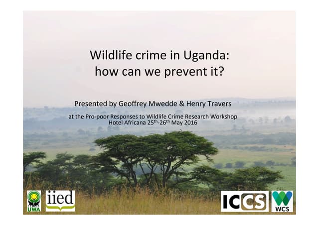 Wildlife crime in Uganda: how can we prevent it?