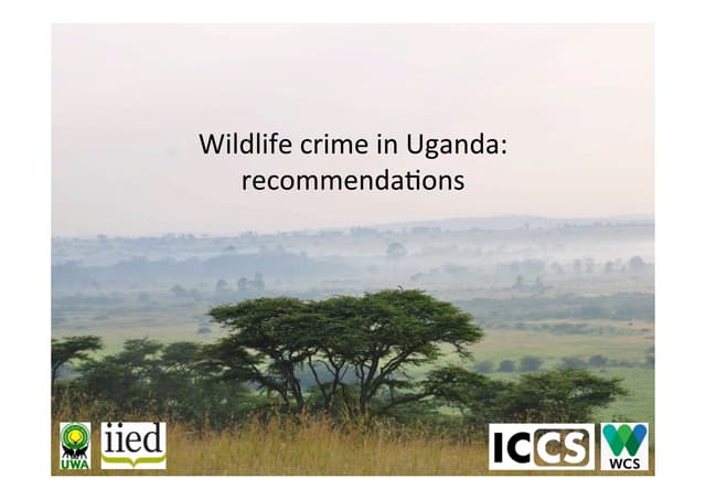 Wildlife crime in Uganda: recommendations