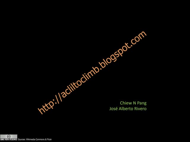 Proportions of the human form