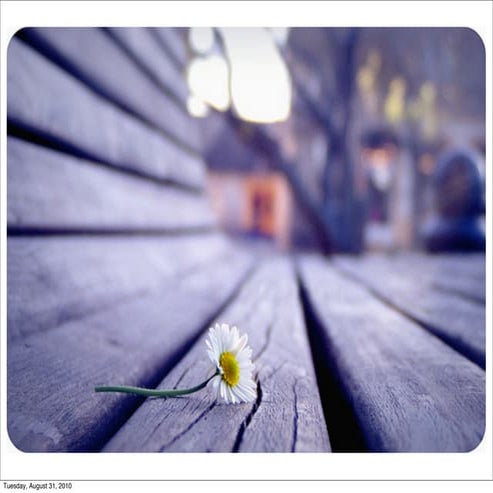 Is a wonderful world