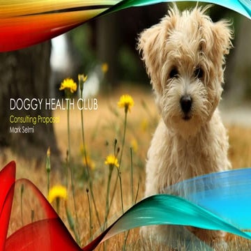 Mark Selmi Marketing Plan - Health Club - PDF  Avanti Media, Mark Selmi, Chie...