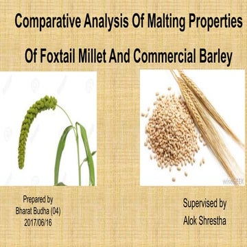 Comparative study of malting properties of Foxtail Millet and Commercial barley