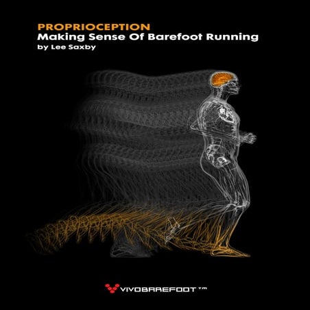 Proprioception making sense of barefoot running by lee saxby