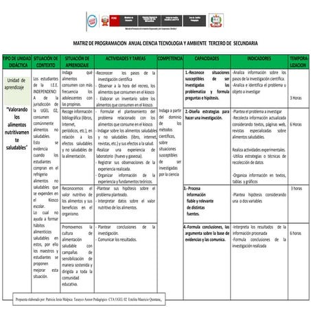 Matriz de Prog Anual 3ro CTA Secundaria