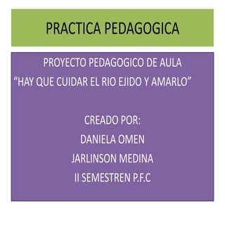 Propuesta de practica pedagogica