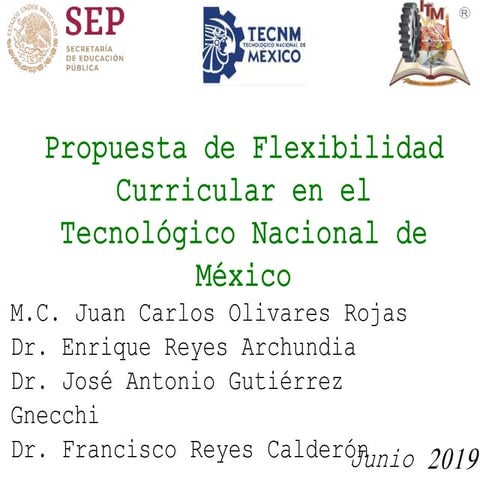 Propuesta de Flexibilidad Curricular en el Tecnológico Nacional de México