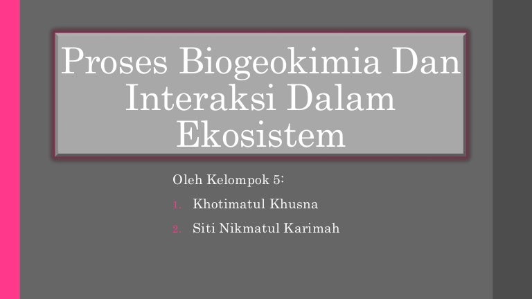 Proses Biogeokimia Dan Interaksi Dalam Ekosistem