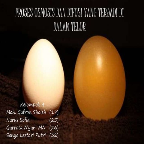 Proses osmosis dan difusi yang terjadi di dalam (2)