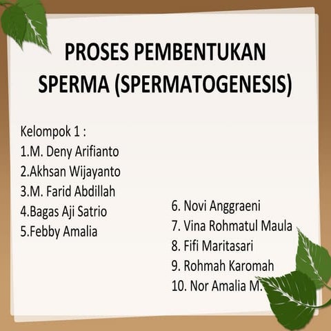 Proses pembentukan sperma (spermatogenesis) kelompok 1