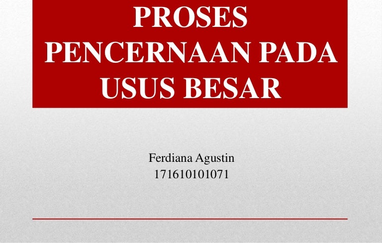 Proses Pencernaan Pada Usus Besar