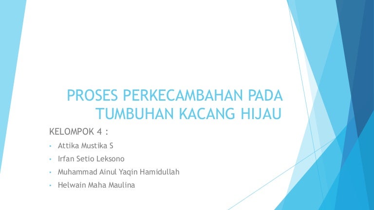 Proses perkecambahan pada tumbuhan kacang hijau