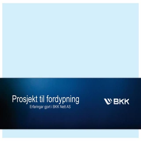 Prosjekt til fordypning erfaringer gjort i BKK Nett AS