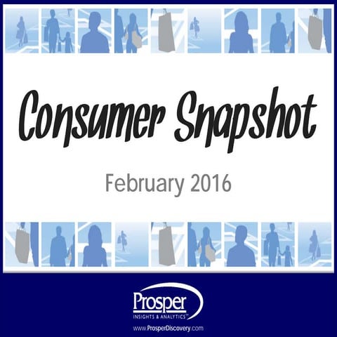 Consumer Snapshot - February 2016