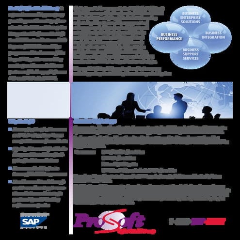 Prosoft SAP BI Offerings