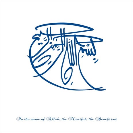 University of central Punjab Prospectus 2011