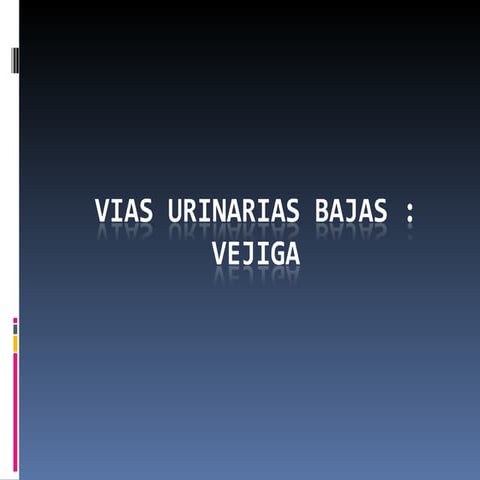 Vias Urinarias Bajas, Pene, Prosta