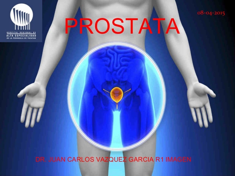 Prostata Anatomía Prostata Anatomía