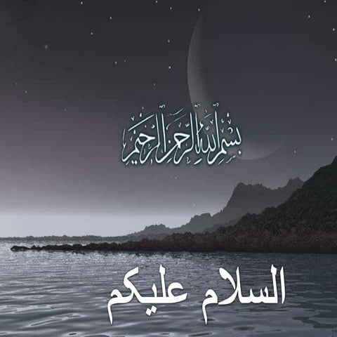 Prostate Anatomy,physiology & Pathology