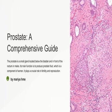 Prostate gland | PPTX