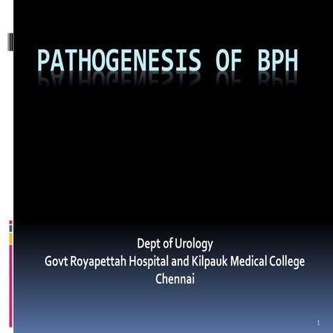 Prostate  BPH- pathophysiology