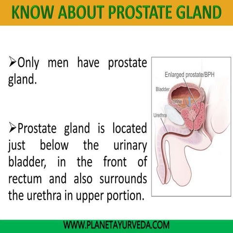 Prostate - Know About BPH