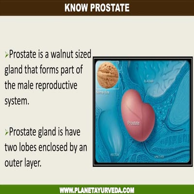 Prostate - Reduce PSA Naturally